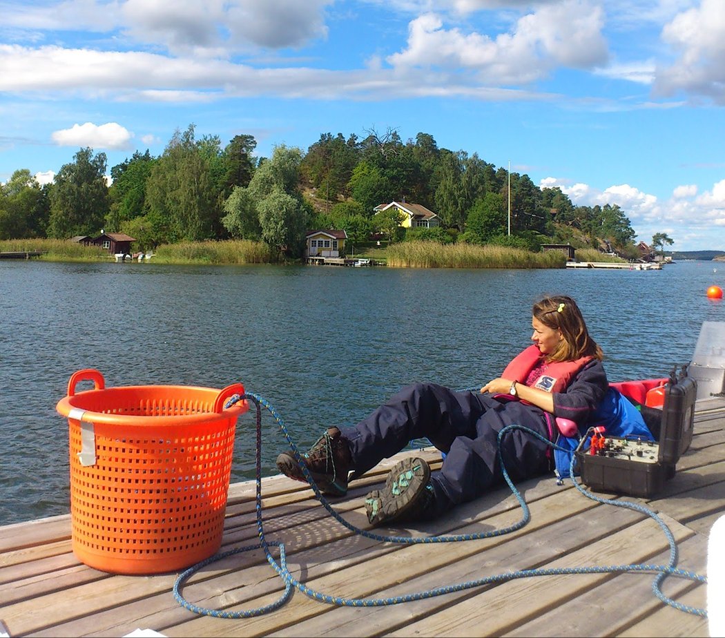 Fieldwork in Sweden